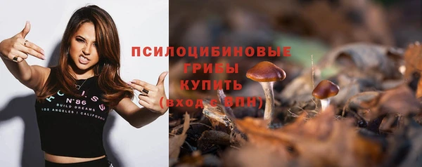 молекула духа Каменск-Шахтинский