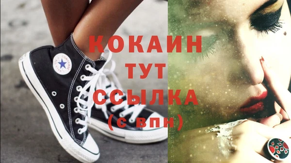 молекула духа Каменск-Шахтинский