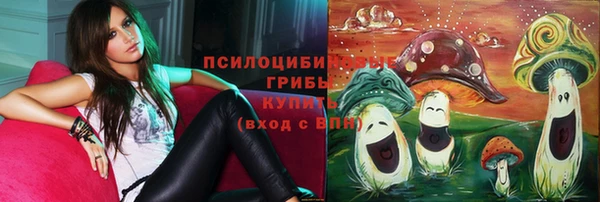 ПСИЛОЦИБИНОВЫЕ ГРИБЫ Каменногорск