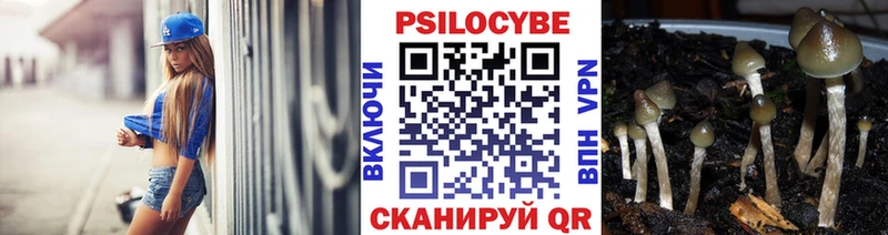 Галлюциногенные грибы Magic Shrooms  Купить  Заринск 